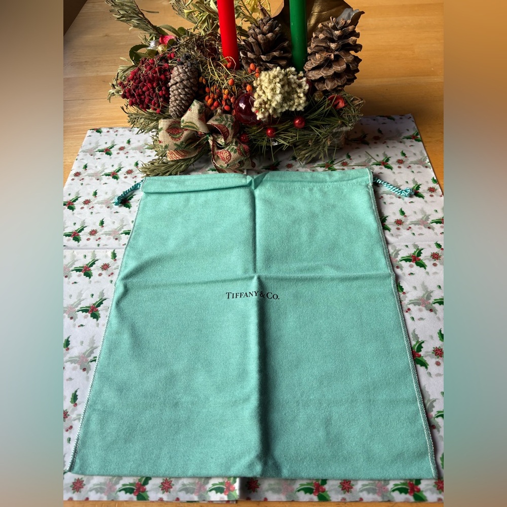 🩵 TIFFANY & CO. DUST COVER 🩵 NWOT 🩵